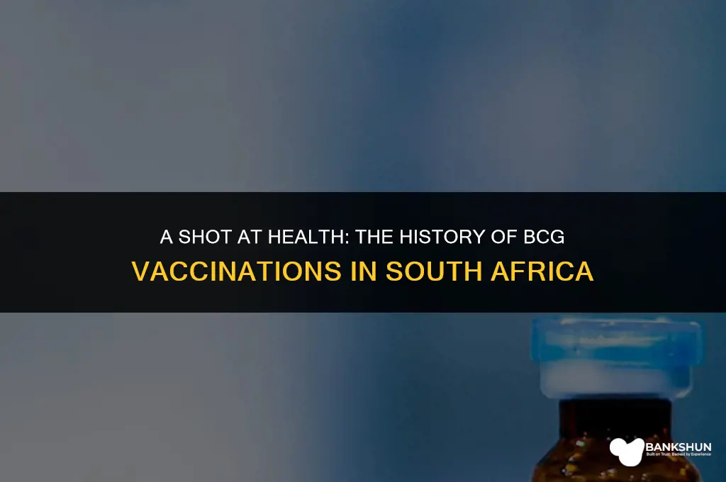 when did south africa start bcg vaccinations