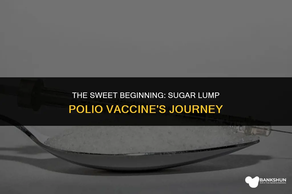 when did sugar lump polio vaccine start