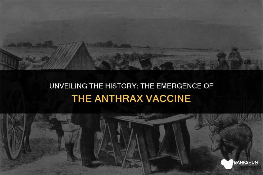 when did the anthrax vaccine come out