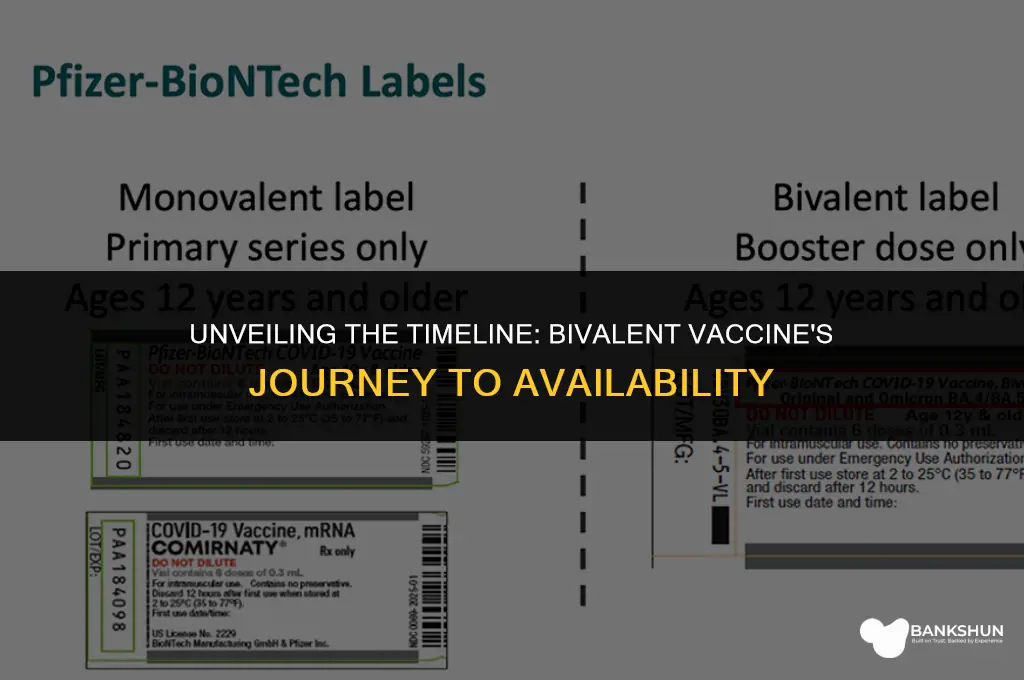 when did the bivalent vaccine become available