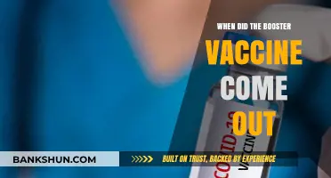 Unveiling the Timeline: Booster Vaccine's Arrival and Impact