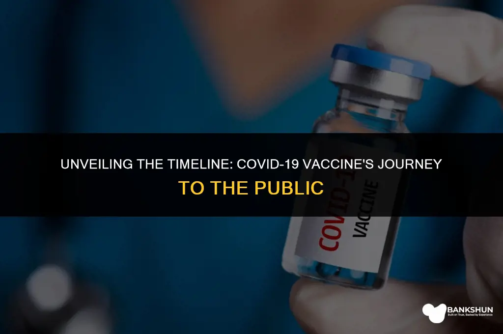 when did the corona vaccine come out