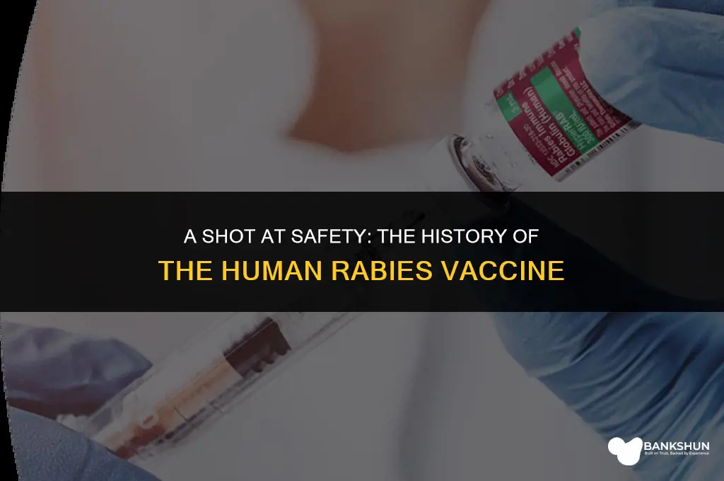 when did the human rabies vaccine invented