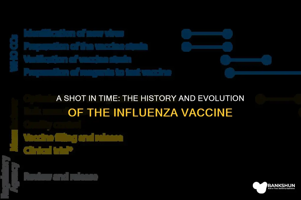 when did the influenza vaccine come out