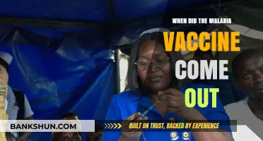 A Breakthrough in Global Health: The Arrival of the Malaria Vaccine