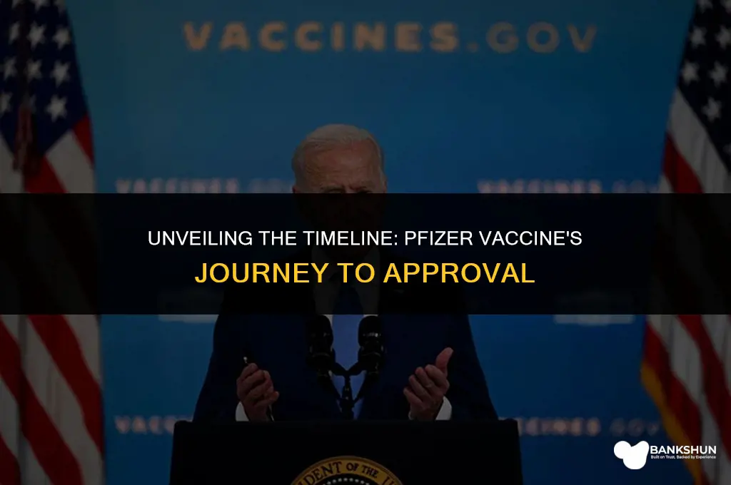 when did the phizer vaccine come out