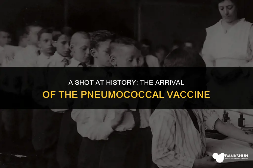when did the pneumococcal vaccine become available