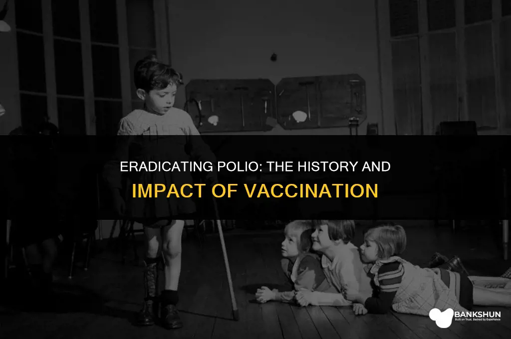 when did the polio vaccination come out