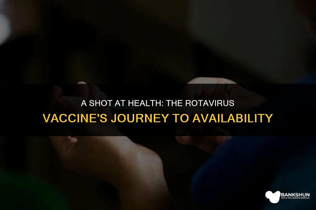 when did the rotavirus vaccine become available