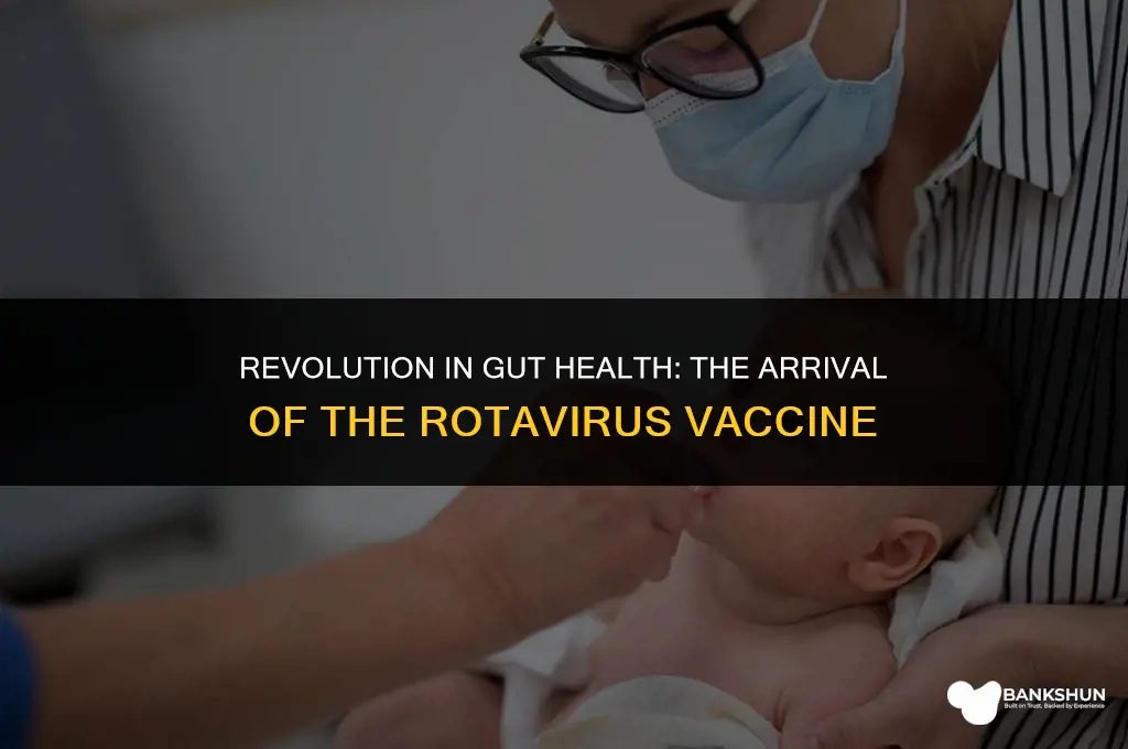when did the rotovirus vaccine come out