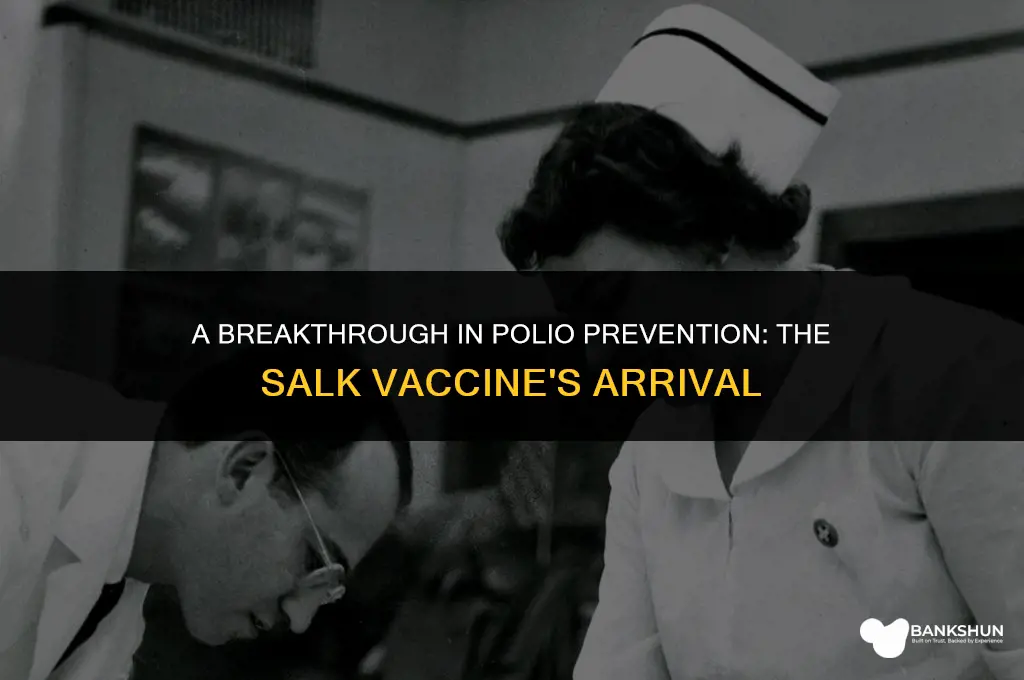 when did the salk vaccine become available