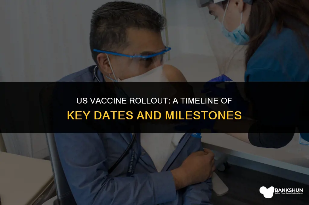 when did the us vaccine rollout start