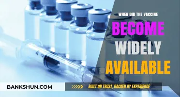 Vaccine Rollout: A Timeline of Global Accessibility and Impact