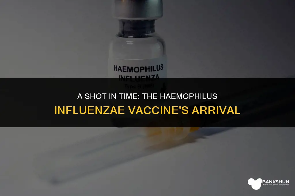 when did the vaccine for haemophilus influenzae