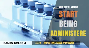 Vaccine Rollout: A Timeline of Immunization Efforts Worldwide