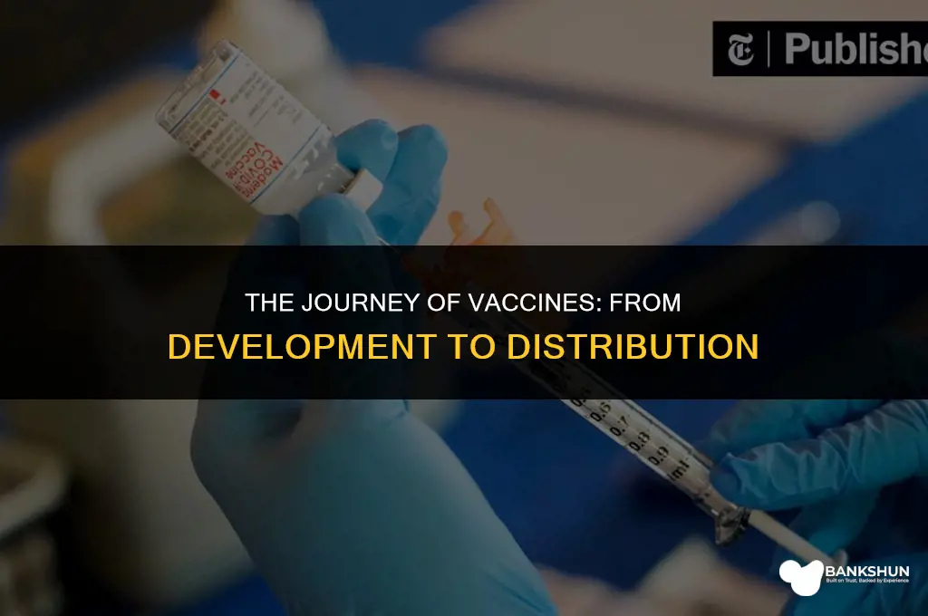 when did the vaccine start being distributed