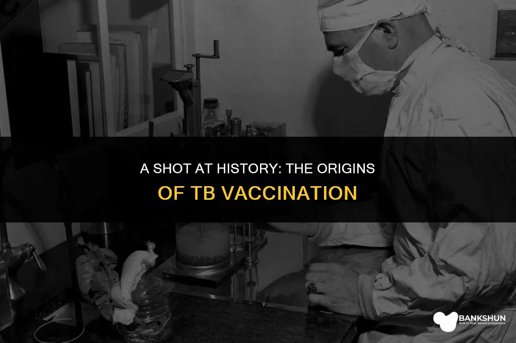 when did they start giving tb vaccine