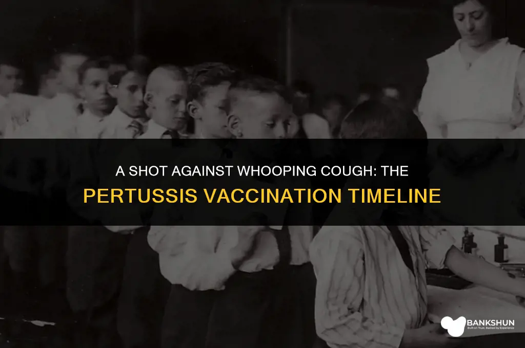 when did they start vaccinating for pertussis
