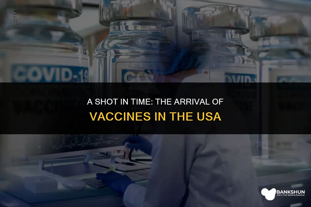 when did vaccine come out in usa