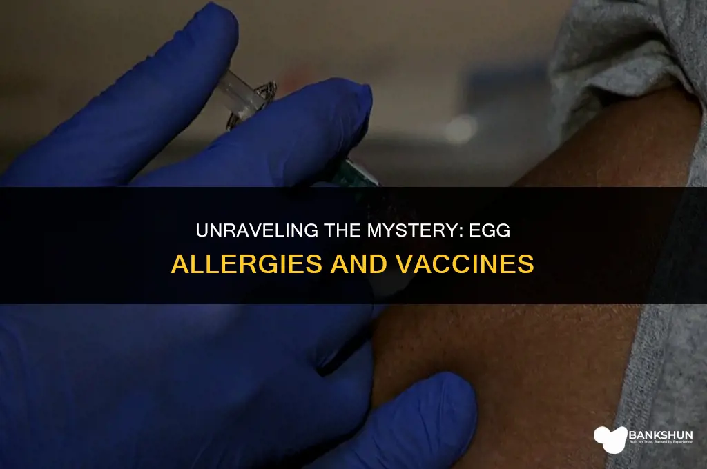 when did vaccines start asking about eggs