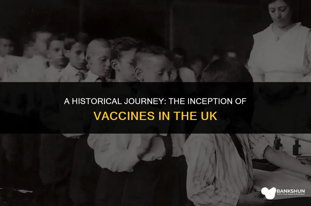 when did vaccines start in the uk
