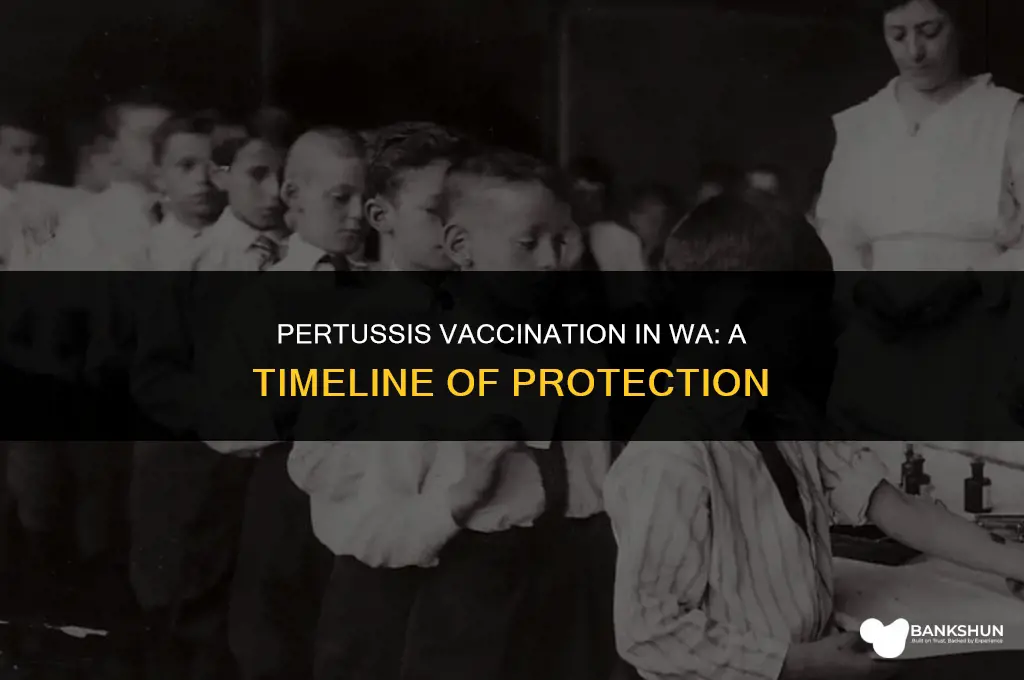 when did wa start vaccinating for pertussis
