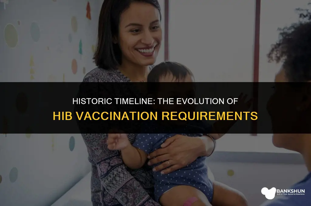 when did who issue hib vaccination reqiurement