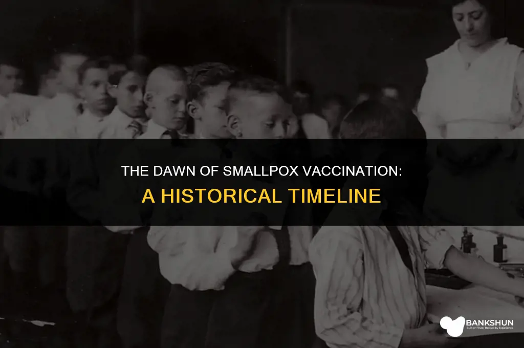 when did wide scale smallpox vaccination begin