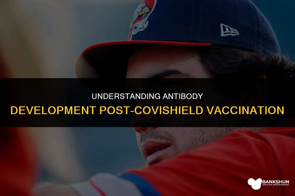 when do antibodies develop after covishield vaccine