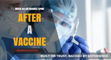 Vaccine Antibody Boost: Timing the Immune Response Surge