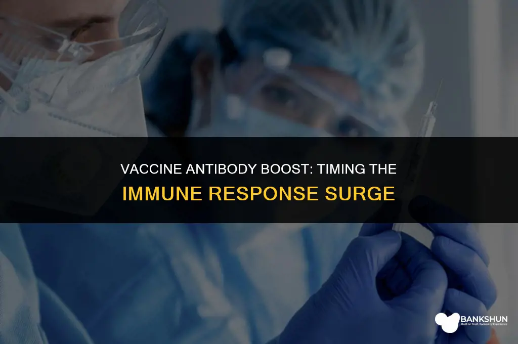 when do antibodies spike after a vaccine