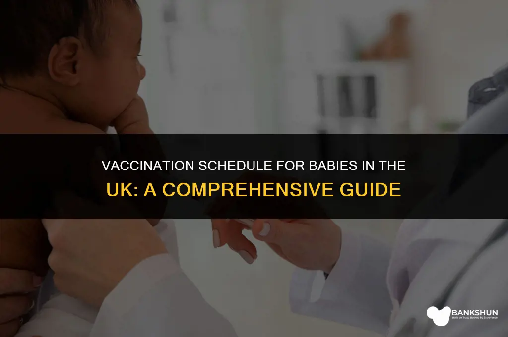 when do babies have their vaccinations uk