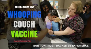 Protecting Your Baby: The Whooping Cough Vaccine Timeline