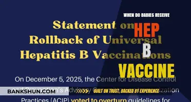 Protecting Your Newborn: The Essential Hepatitis B Vaccine Timeline