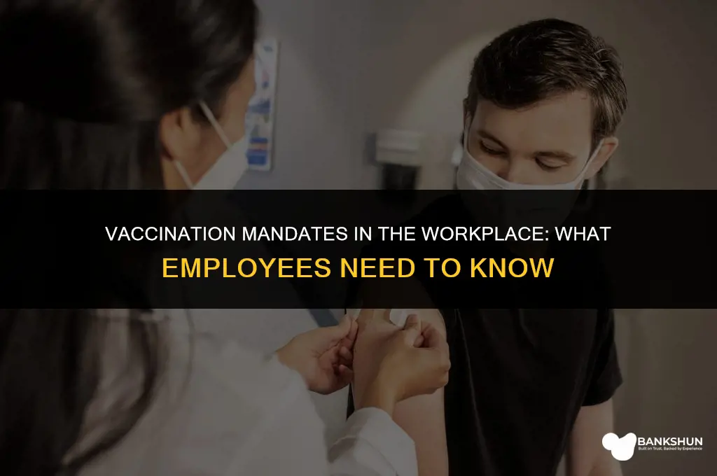 when do employees have to be vaccinated