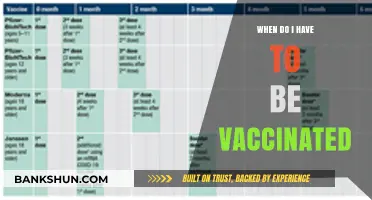 Vaccination Deadlines: What You Need to Know to Stay Protected