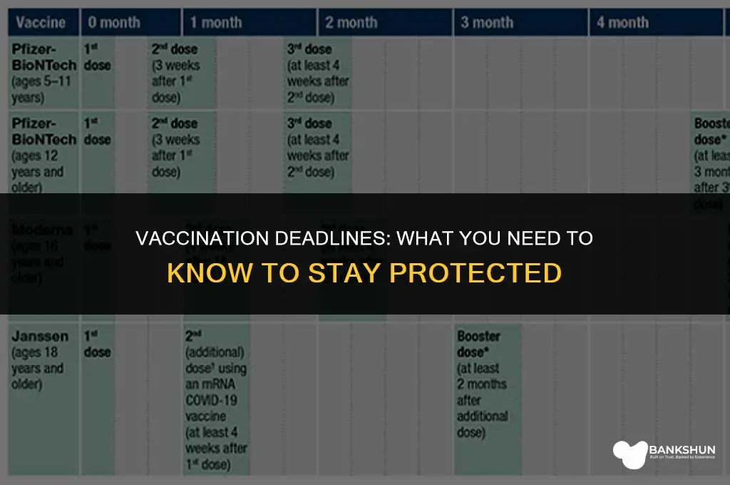 when do i have to be vaccinated