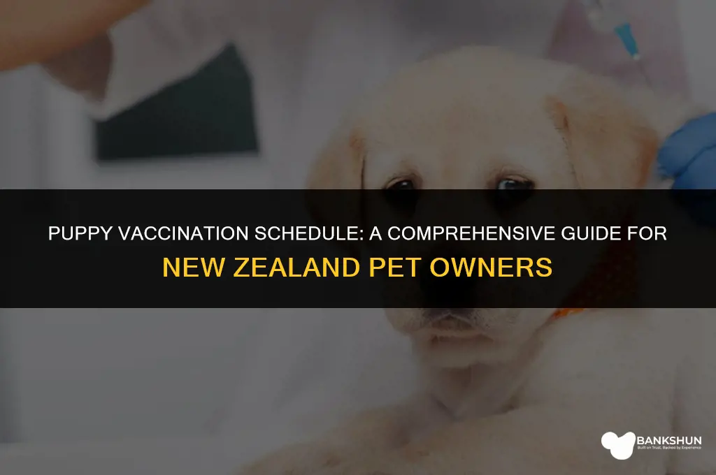 when do i vaccinate my puppy nz