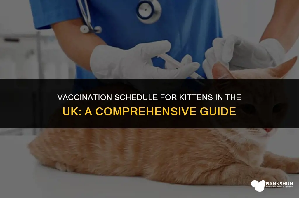 when do kittens have their vaccinations uk
