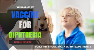 Understanding KODD Vet Vaccine Timing for Diphtheria Prevention