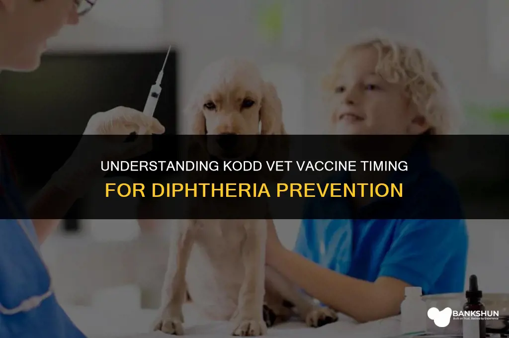 when do kodd vet vaccine for diphtheria