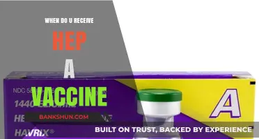 Understanding Hepatitis A Vaccination: When to Get the Shot