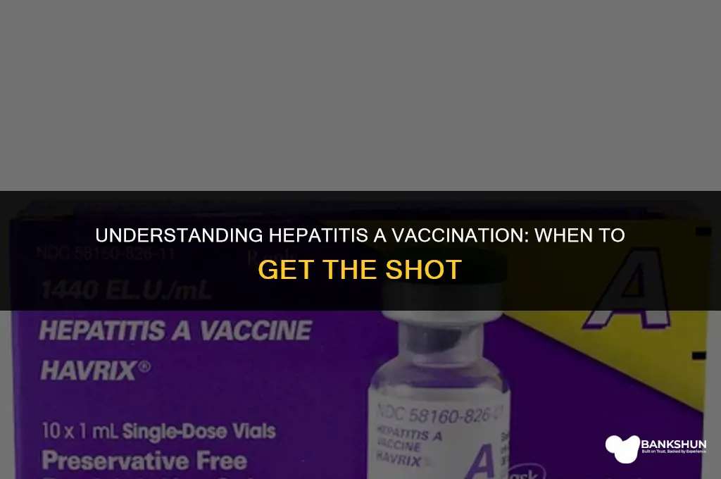 when do u receive hep a vaccine