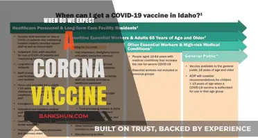 Anticipating the Arrival: When Will the Corona Vaccine Be Ready?