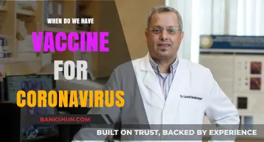 Hope on the Horizon: The Quest for a Coronavirus Vaccine