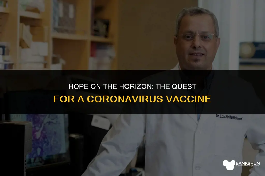 when do we have vaccine for coronavirus
