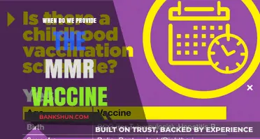 Understanding MMR Vaccine Timing: A Comprehensive Guide for Parents