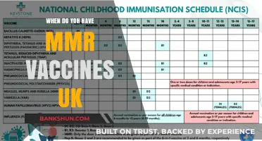 Understanding MMR Vaccination Schedule in the UK: A Complete Guide