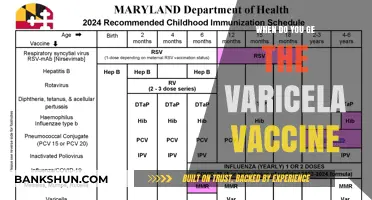 Varicella Vaccine Timing: A Comprehensive Guide for Optimal Protection