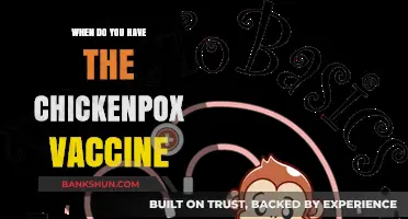 Protecting Against Chickenpox: The Optimal Vaccination Timeline